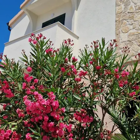 Sara - Pirovac, Cro Holiday home Pirovac